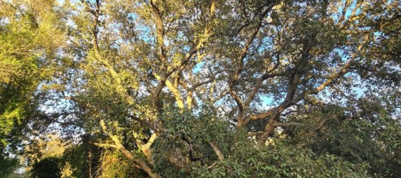 Terreno em Cadiz, Spain 2100 m² N.º 143258 40