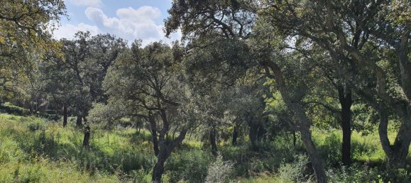 Terreno em Cadiz, Spain 2100 m² N.º 143258 15