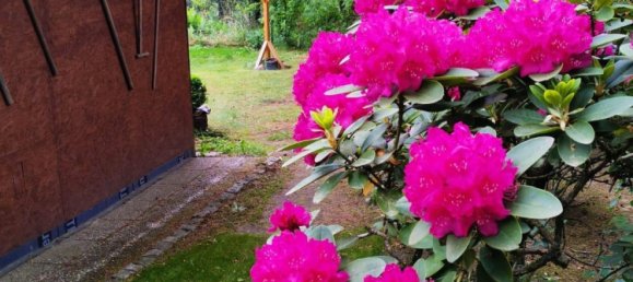 1 Schlafzimmer Haus in Potsdam-Mittelmark, Germany, Nr. 260164 5