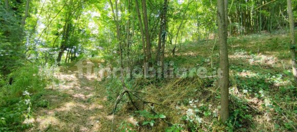 3 bedrooms House in Rocca d'Arazzo, Italy No. 291297 3