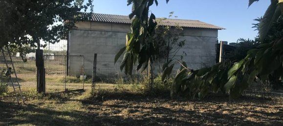 Studio in Castiglione del Lago, Italy No. 86633 5