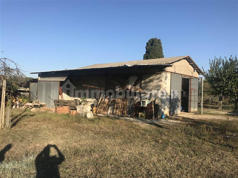 Studio in Castiglione del Lago, Italy No. 86633