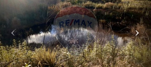 9 bedrooms House in Silves, Portugal No. 37917 6