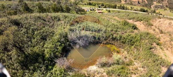 9 bedrooms House in Silves, Portugal No. 37917 5