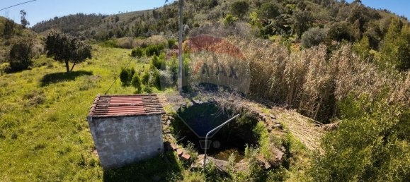 9 bedrooms House in Silves, Portugal No. 37917 7