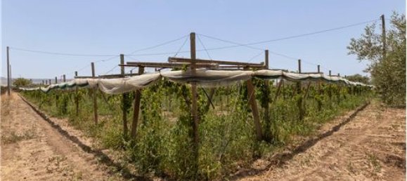 2 chambres Villa à Chiaramonte Gulfi, Italy No. 298612 48