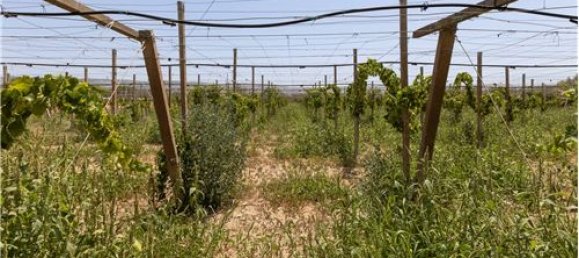 2 chambres Villa à Chiaramonte Gulfi, Italy No. 298612 49