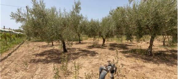 2 chambres Villa à Chiaramonte Gulfi, Italy No. 298612 50