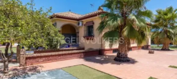 4 Schlafzimmer Villa in Andalusia, Spain, Nr. 141803 36
