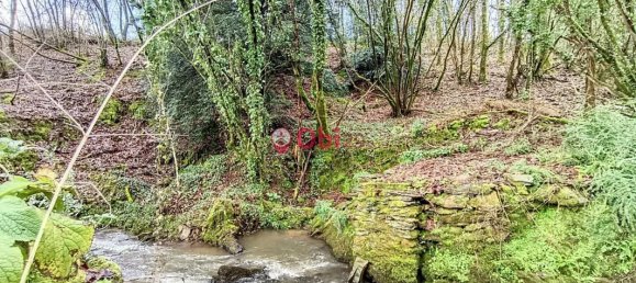 1 chambre Maison à Pont-de-Buis-lès-Quimerch, France No. 203542 14