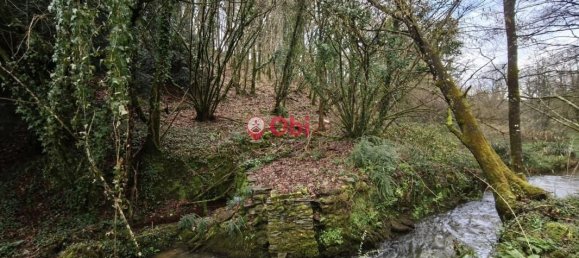 1 chambre Maison à Pont-de-Buis-lès-Quimerch, France No. 203542 19