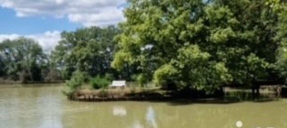 9 Schlafzimmer Schlösser in Coullons, France, Nr. 252479 8