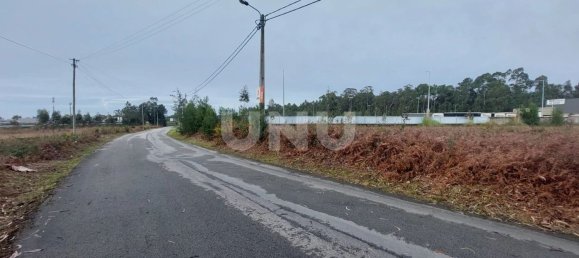 Grundstück in Ovar, Portugal 4960m², Nr. 86231 5