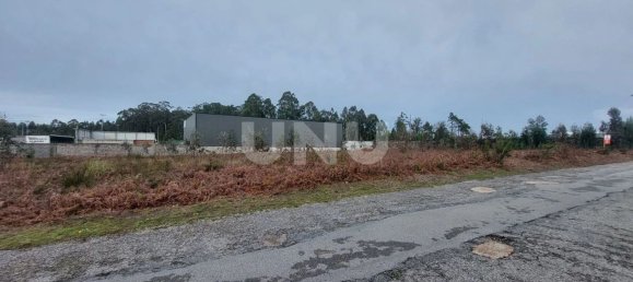 Grundstück in Ovar, Portugal 4960m², Nr. 86231 11