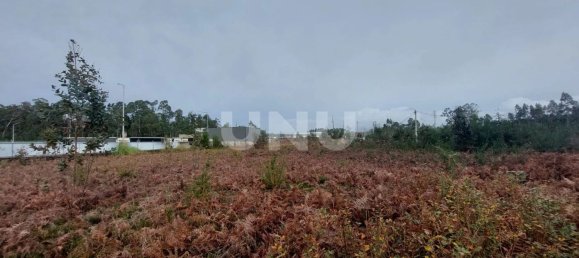 Grundstück in Ovar, Portugal 4960m², Nr. 86231 8