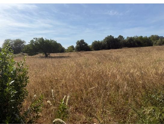 Terreno em Llucmajor, Spain 4000 m² N.º 162435