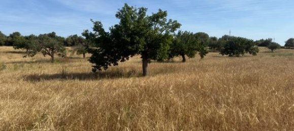 Terreno em Llucmajor, Spain 4000 m² N.º 162435 2