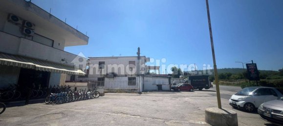 3-Zimmer Gewerbliche Immobilie in Pozzuoli, Italy, Nr. 258272 7