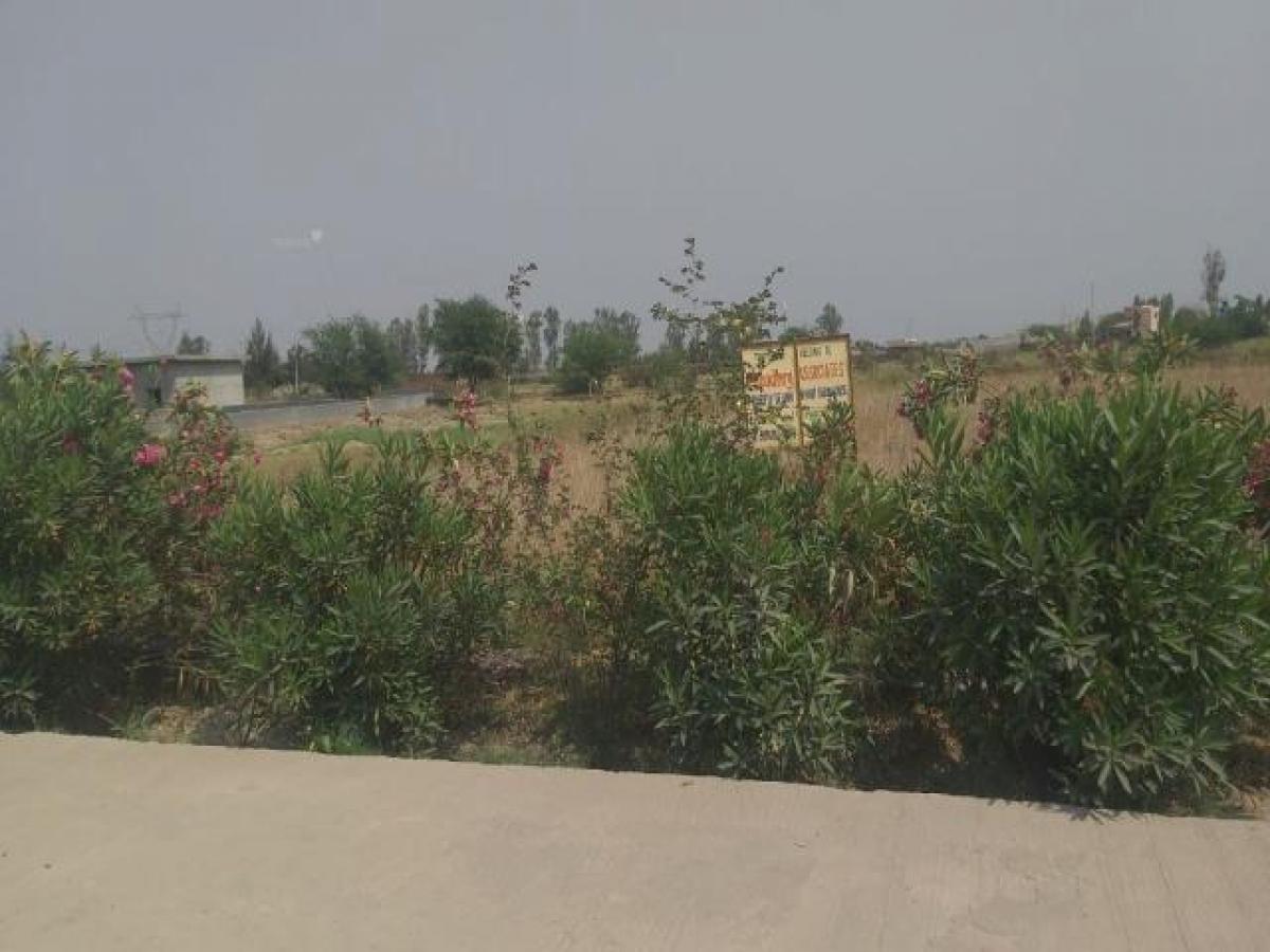  Land in Ghaziabad, India No. 32052