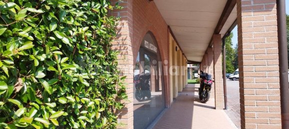 5-Zimmer Gewerbliche Immobilie in Felino, Italy, Nr. 273582 4