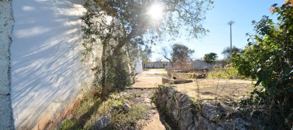 1 bedroom Villa in Gioia del Colle, Italy No. 13003 15