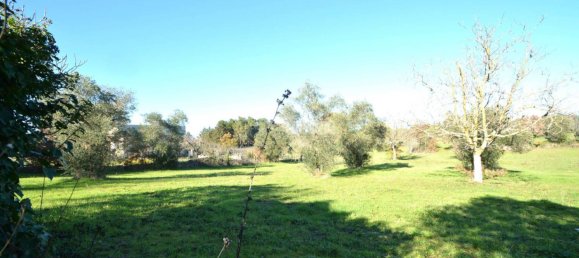 1 bedroom Villa in Gioia del Colle, Italy No. 13003 17