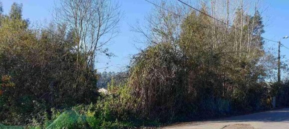 3150m² Land in Anta, Portugal No. 91914 2