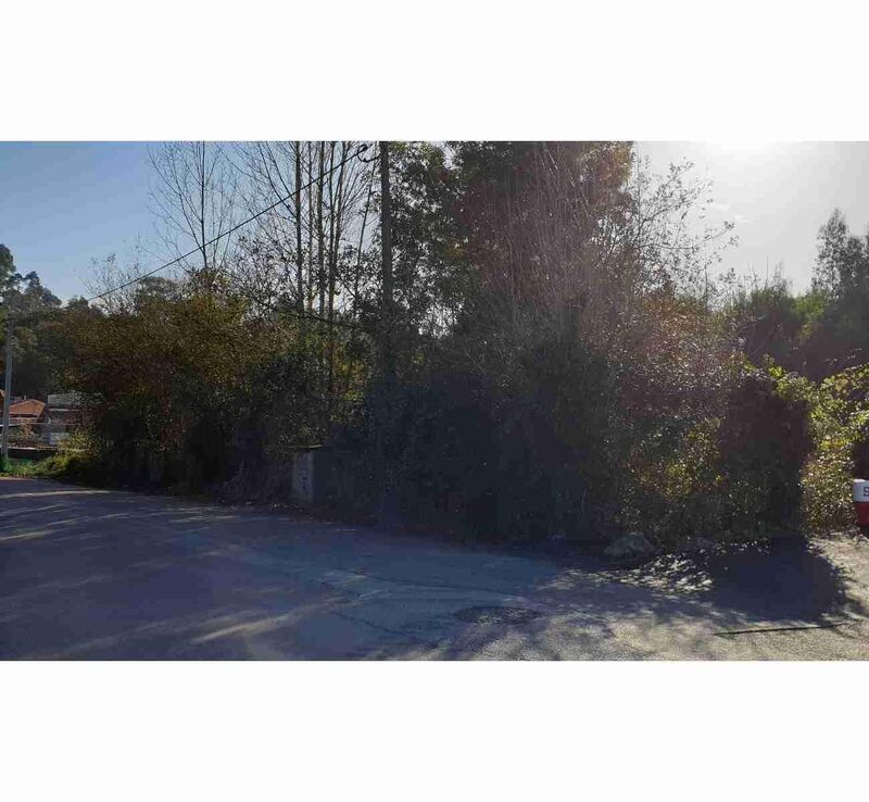 3150m² Land in Anta, Portugal No. 91914