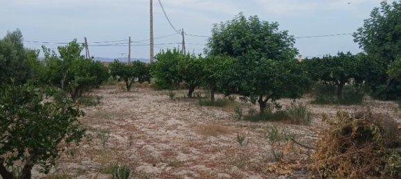 569m² Commercial property in Lorca, Spain No. 178606 11