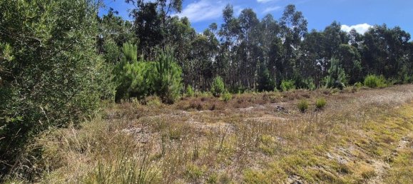 Grundstück in Figueira da Foz, Portugal 2562m², Nr. 309775 7