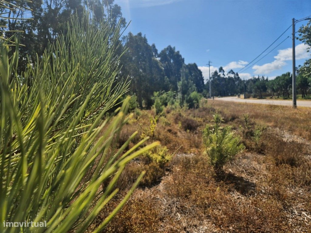 2562m² Land in Figueira da Foz, Portugal No. 309775