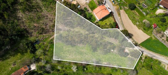 3800m² Land in Barcelos, Portugal No. 51949 3