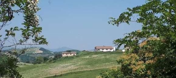 عقار تجاري في Urbino, Italy 310متر مربع رقم 362620 3