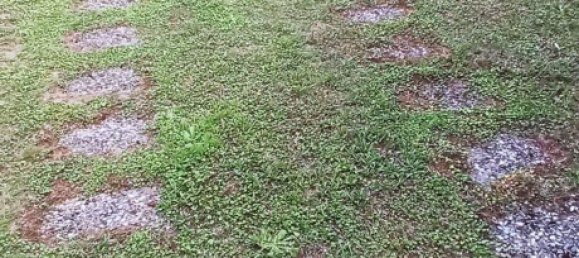 6-salle Maison à Lucca, Italy No. 78424 26