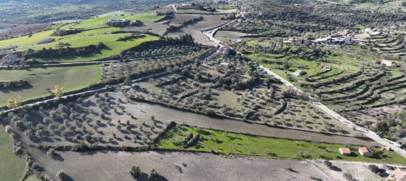 قطعة أرض في Ragusa, Italy 10890متر مربع رقم 236474 6