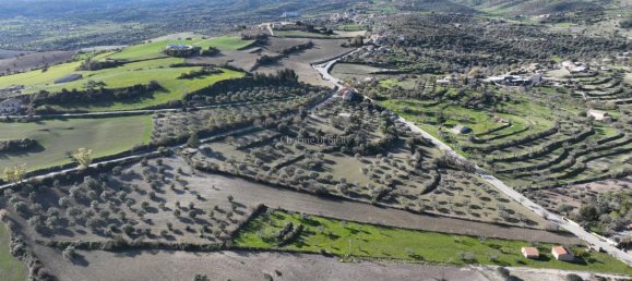 قطعة أرض في Ragusa, Italy 10890متر مربع رقم 236474 7