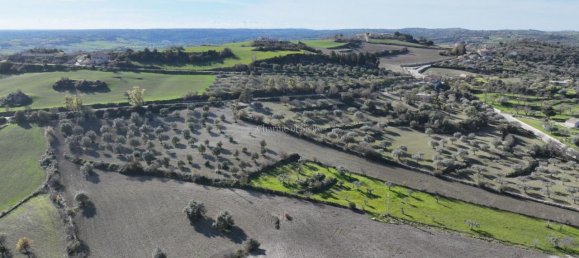 قطعة أرض في Ragusa, Italy 10890متر مربع رقم 236474 10