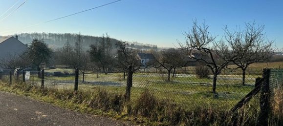 Terrain à Hundling, France 1550m² No. 105510 6