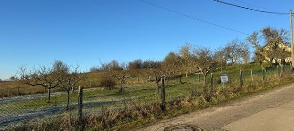 Terrain à Hundling, France 1550m² No. 105510 5