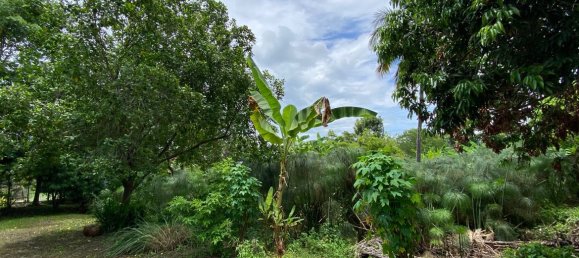 1 bedroom Cafe / restaurant in Chiang Mai, Thailand No. 9123 3