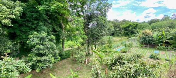 1 bedroom Cafe / restaurant in Chiang Mai, Thailand No. 9123 18