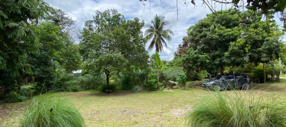 1 bedroom Cafe / restaurant in Chiang Mai, Thailand No. 9123 30