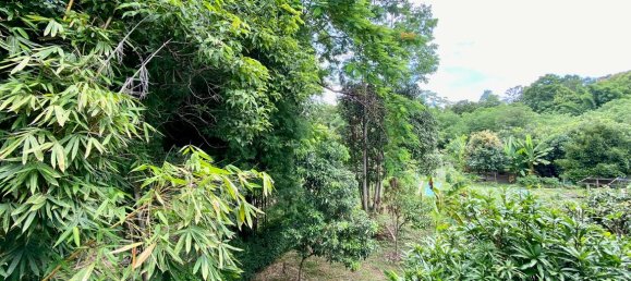 1 bedroom Cafe / restaurant in Chiang Mai, Thailand No. 9123 20