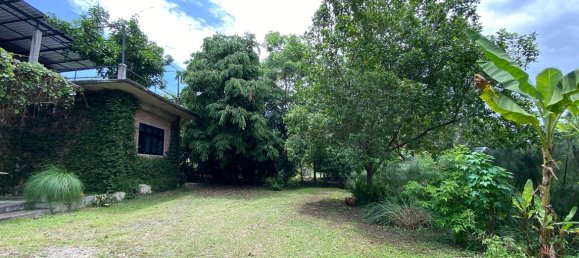 1 bedroom Cafe / restaurant in Chiang Mai, Thailand No. 9123 29