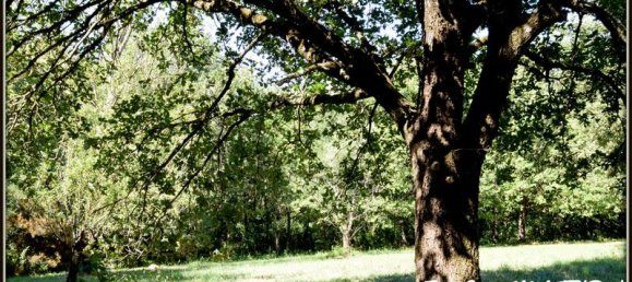 3 bedrooms Villa in Castelnaudary, France No. 294814 7