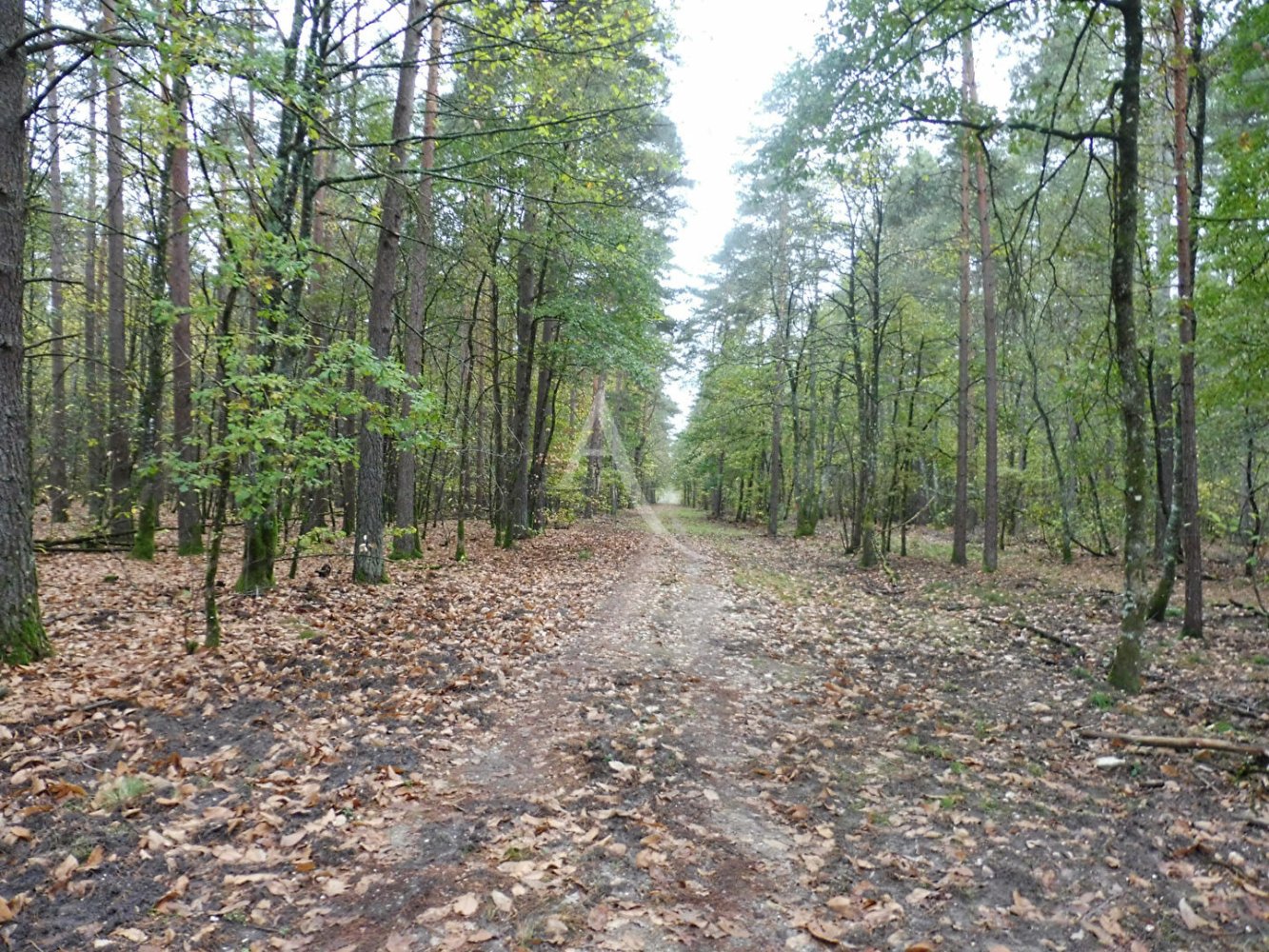 Дом с 9 спальнями в Прели, Франция № 76545