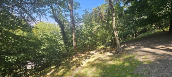  قطعة أرض في St. Andra-Wordern, Austria رقم 64229 11