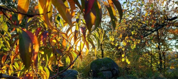 6غرفة منزل في Pabneukirchen, Austria رقم 175102 33