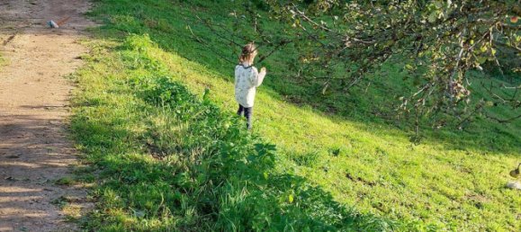 6غرفة منزل في Pabneukirchen, Austria رقم 175102 32