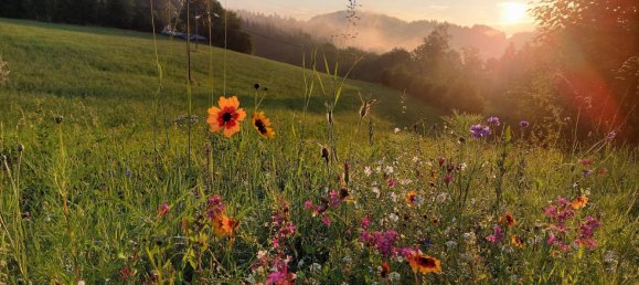 6غرفة منزل في Pabneukirchen, Austria رقم 175102 27